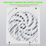 GAMEMAX Rampage Series, 1250W, Full Modular Power Supply, ATX 3.1 & PCIE 5.1 Ready, 80 Plus Platinum Certified